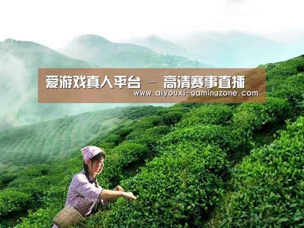 爱游戏真人平台 - 高清赛事直播