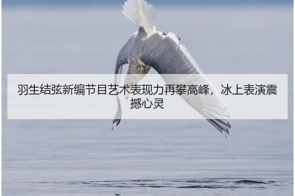 yu-sheng-jie-xian-xin-bian-jie-mu-yi-shu-biao-xian-li-zai-pan-gao-feng-bing-shang-biao-yan-zhen-han-xin-ling-3-677.jpg