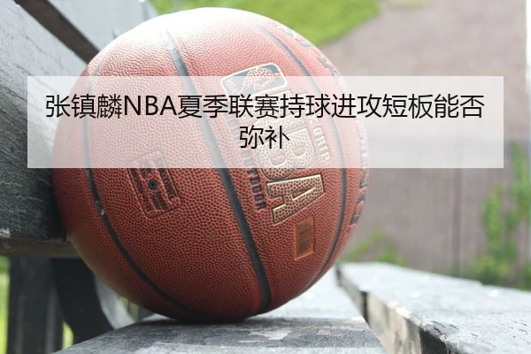 张镇麟NBA夏季联赛持球进攻短板能否弥补
