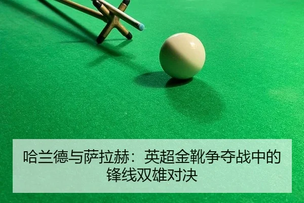 ha-lan-de-yu-sa-la-he-ying-chao-jin-xue-zheng-duo-zhan-zhong-de-feng-xian-shuang-xiong-dui-jue-3-548.jpg