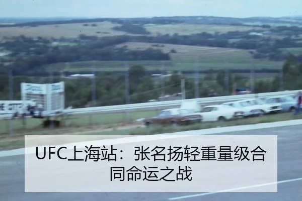 UFC上海站：张名扬轻重量级合同命运之战